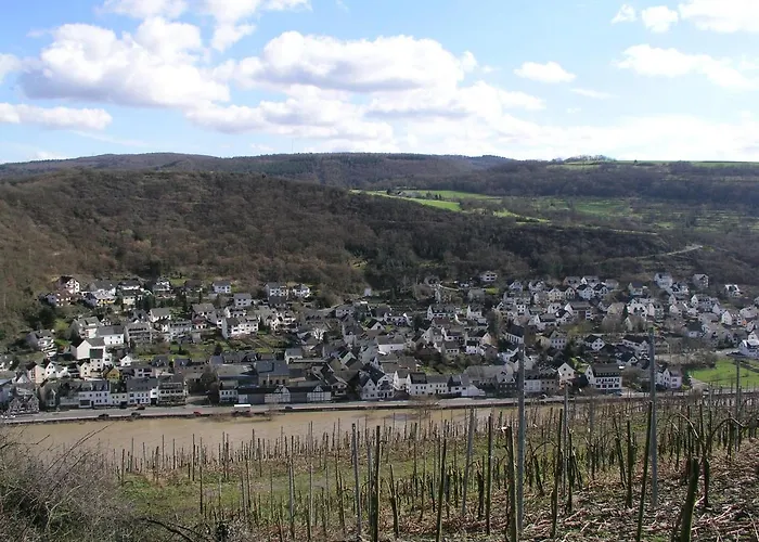 Mosel * 니데르펠